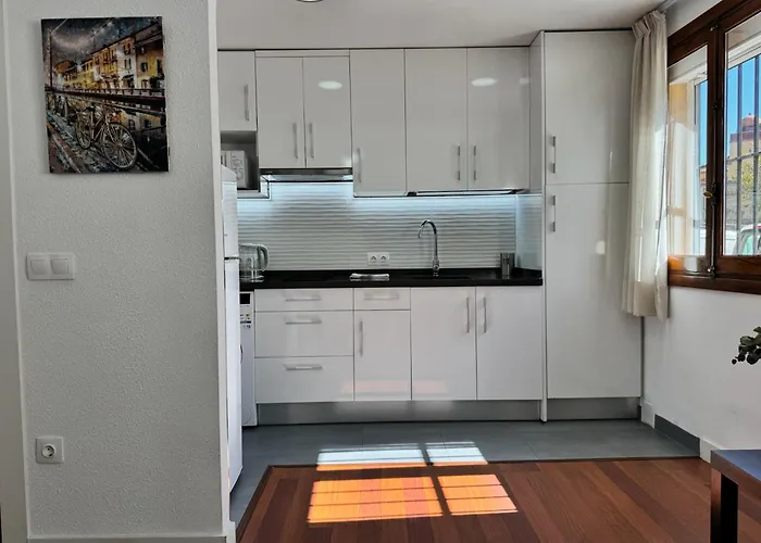 Apartment Paseo De La Ribera *